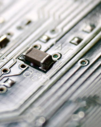 Il microchip e le omissioni e il senatore