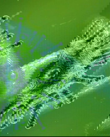 MeteoWeb e le varianti