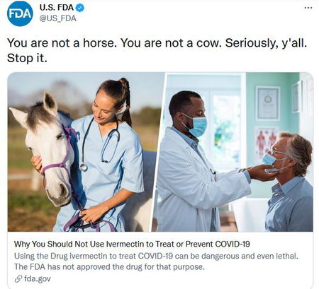 Ivermectina, capitolo chiuso article-post