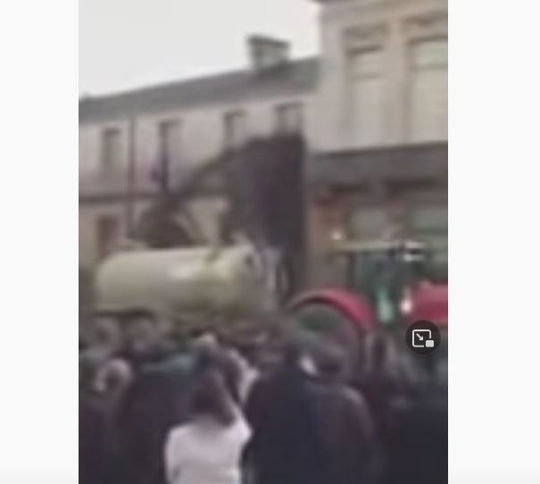 Macron, letame e disinformazione article-post