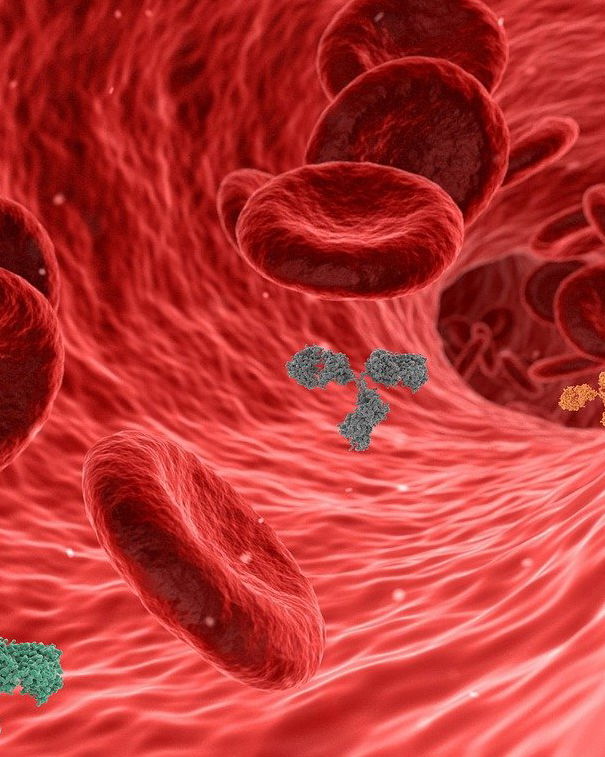 La ricerca israeliana sulla variante Delta article-post