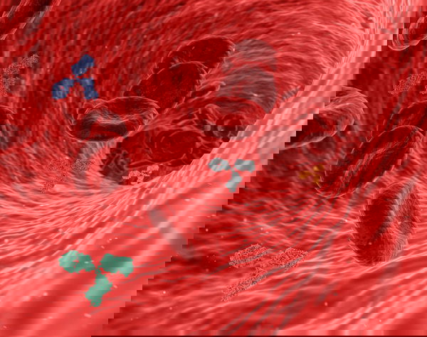 La ricerca israeliana sulla variante Delta