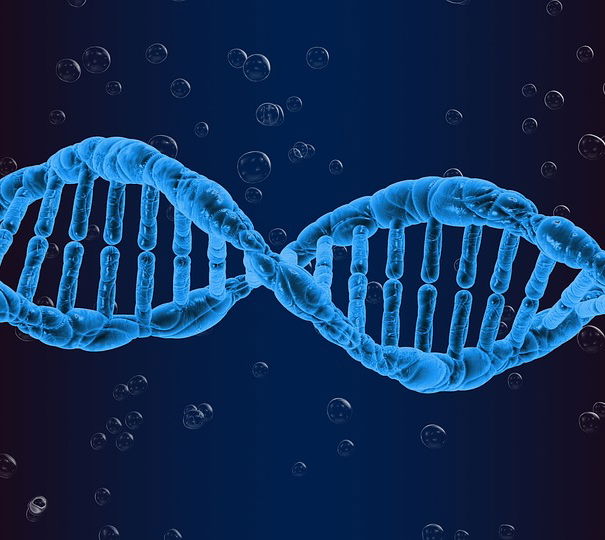 DNA, mRNA & brevetti article-post