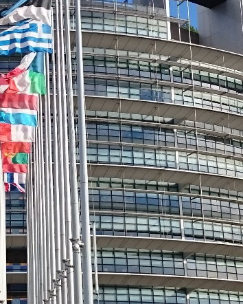 Il Parlamento europeo chiede il ritiro dei vaccini?