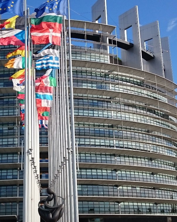 Il Parlamento europeo chiede il ritiro dei vaccini? article-post