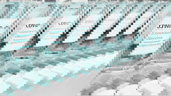 La telefonata choc al farmacista sul blog del senatore