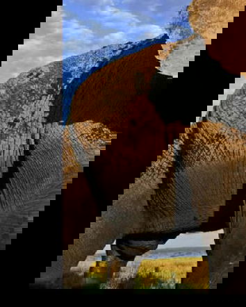 All you need is misinformation