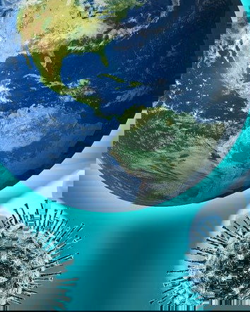 Il “luminare GB” e la terza dose