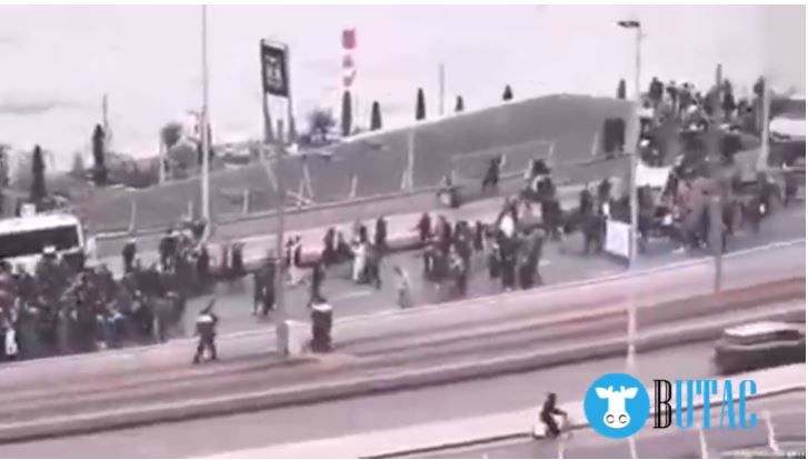 Le proteste di Rotterdam article-post