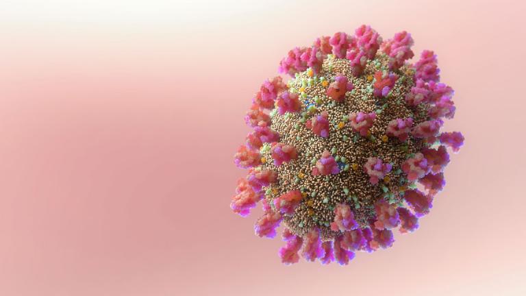Se fossimo tutti vaccinati il 100% dei deceduti sarebbe vaccinato Se fossimo tutti vaccinati il 100% dei deceduti sarebbe vaccinato