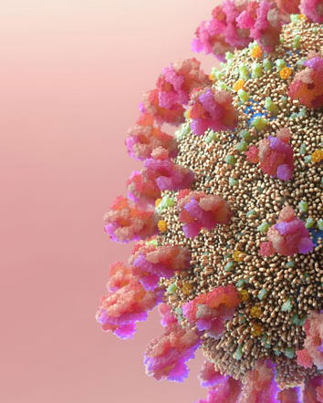 Se fossimo tutti vaccinati il 100% dei deceduti sarebbe vaccinato