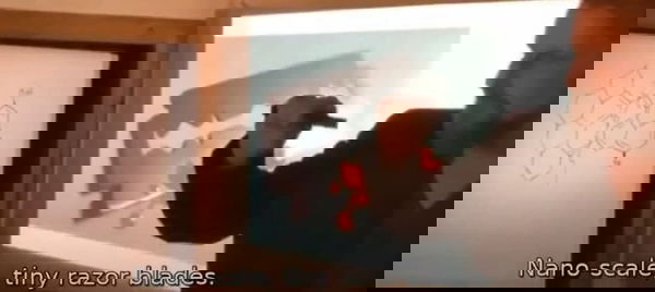 La misteriosa morte di Andreas Noack