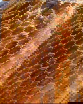 Il miele pericoloso, o la disinformazione nociva…