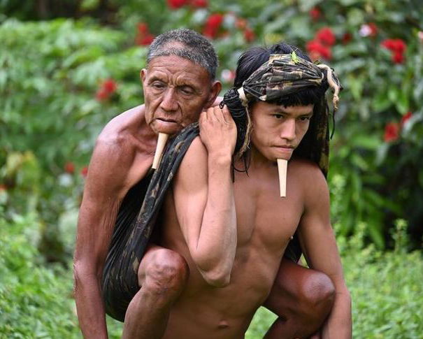 Figlio cammina 12 ore nella foresta amazzonica… article-post