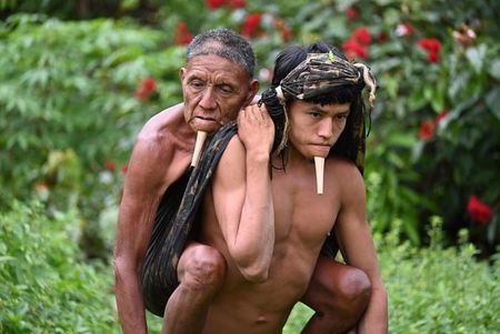 Figlio cammina 12 ore nella foresta amazzonica… article-post