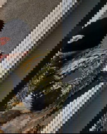 Le mezze verità del Donbass: le 14000 vittime