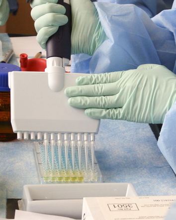 L’origine del virus e della disinformazione