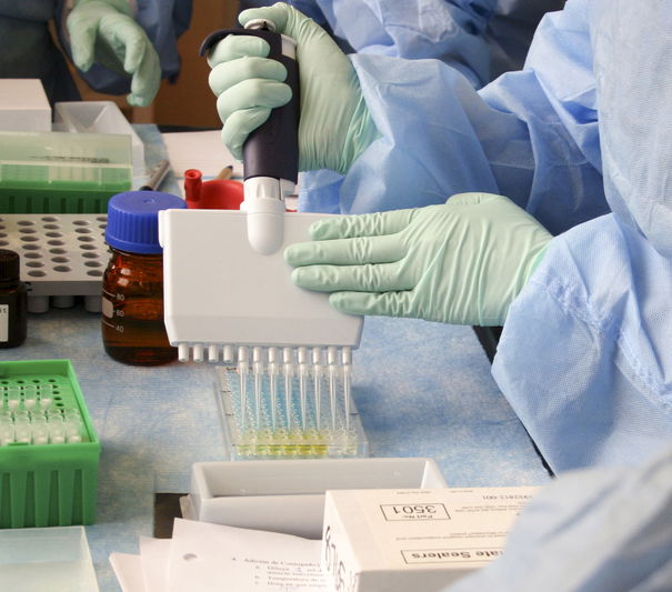 L’origine del virus e della disinformazione article-post