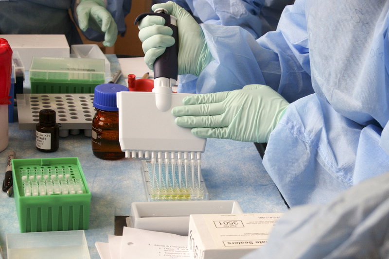 L’origine del virus e della disinformazione article-post