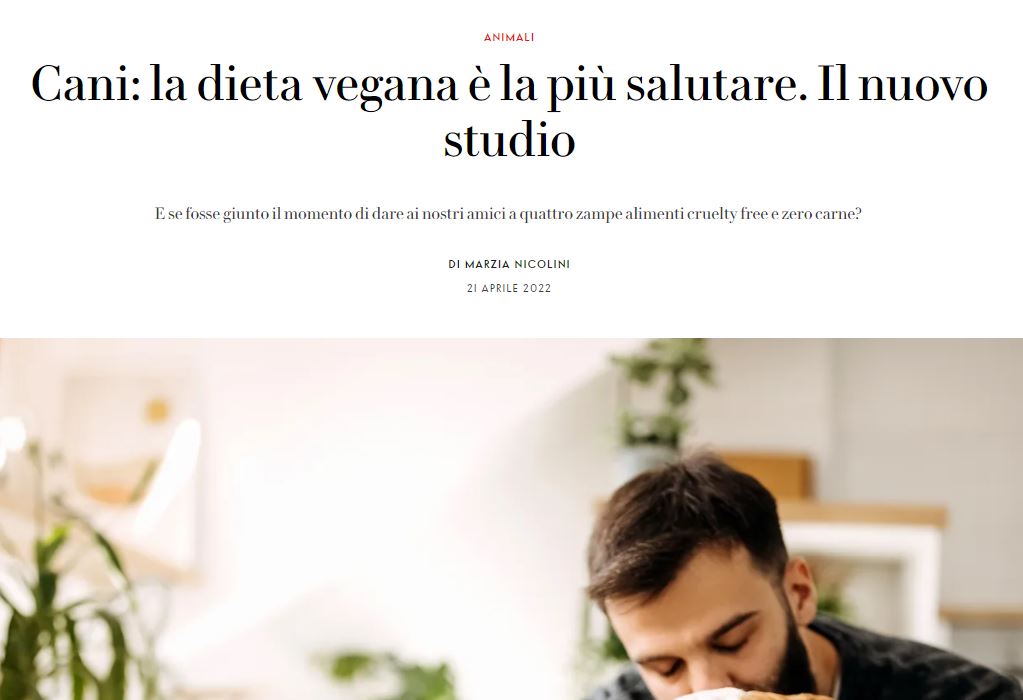 article-post