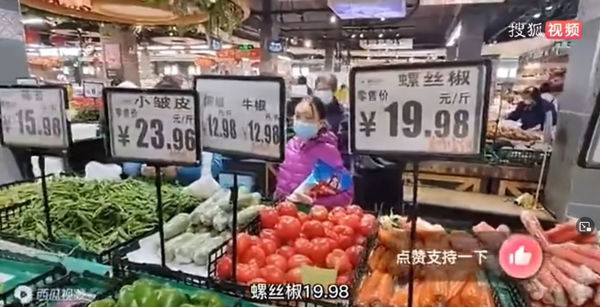 No, a Shanghai non vengono uccisi gli animali dei malati di COVID