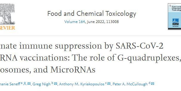 Stephanie Seneff, de nuevo tu! article-post