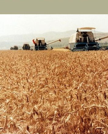 L’Ucraina se l’è comprata l’America?