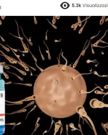 Vaccini, fertilità e omissioni