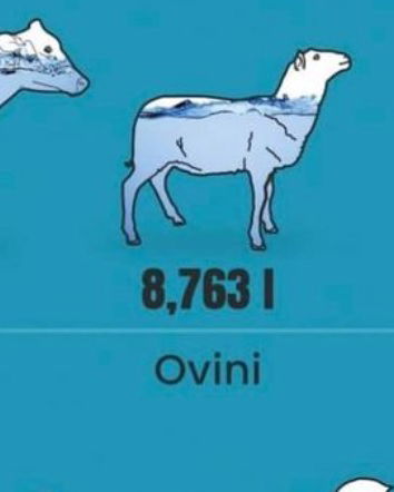 15mila litri d’acqua per produrre un chilo di carne