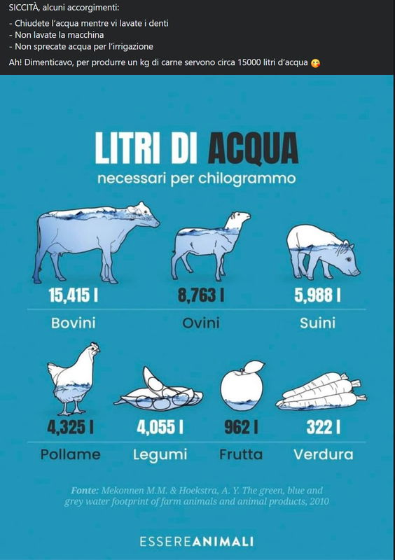 15mila litri d’acqua per produrre un chilo di carne