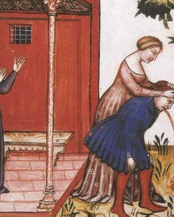 Mogli avvelenatrici, bufale e Medioevo