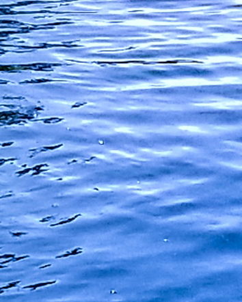 Giorgio Bianchi e il DPCM Siccità