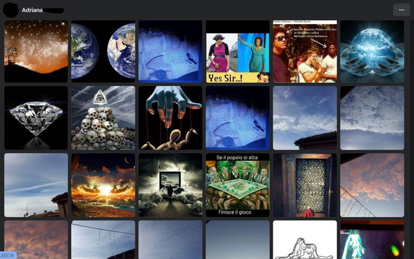 Analisi di un profilo di disinformazione