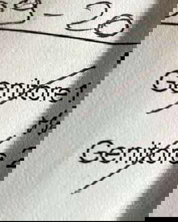 Il politically correct e la malinformazione