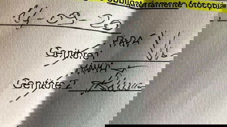 Il politically correct e la malinformazione article-post