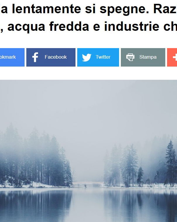 La Germania lentamente si spegne? article-post