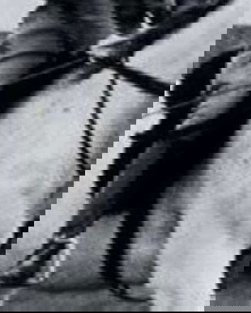 La Regina Elisabetta, i cavalli e la sicurezza