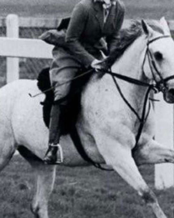 La Regina Elisabetta, i cavalli e la sicurezza article-post