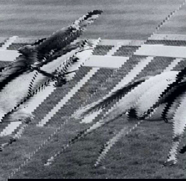 La Regina Elisabetta, i cavalli e la sicurezza