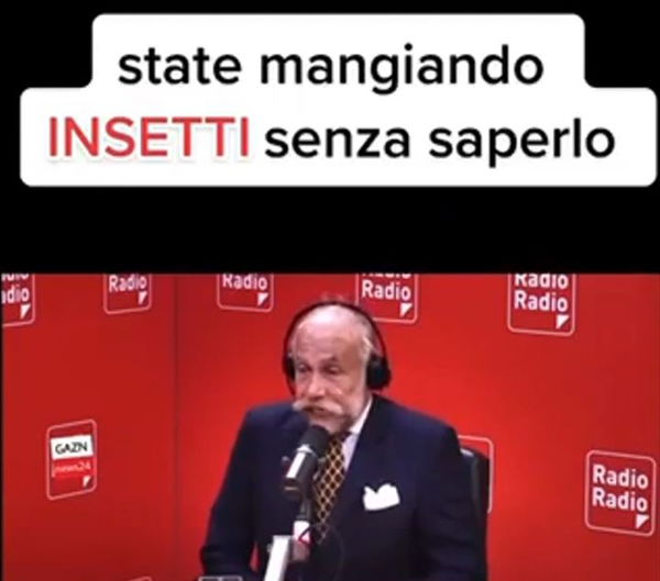 Stramezzi, crisi alimentare e insetti