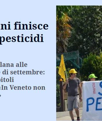 Troppi pesticidi per il prosecco in Veneto?