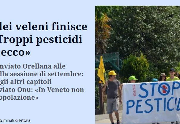 Troppi pesticidi per il prosecco in Veneto? article-post