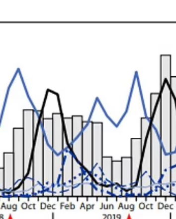 Covid-19, Daily Mail e malinformazione