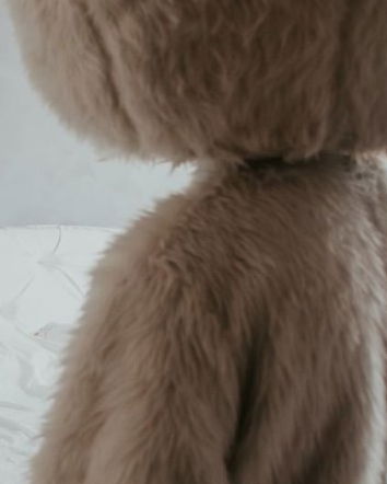 No, il Furry non è una pratica sessuale