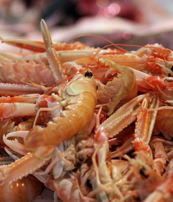 A chi dan fastidio gli insetti?