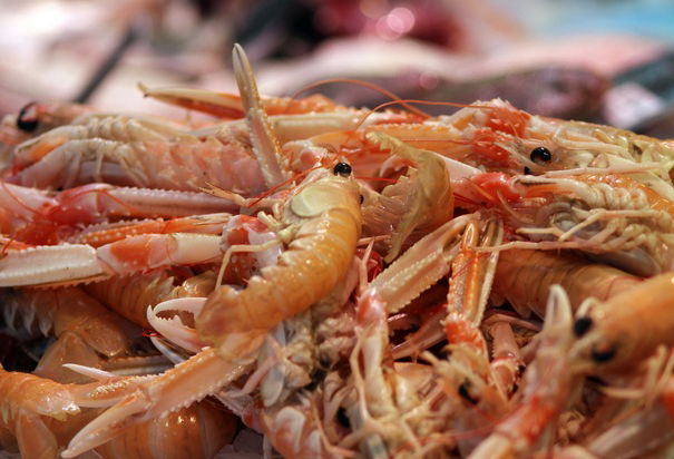 A chi dan fastidio gli insetti? article-post