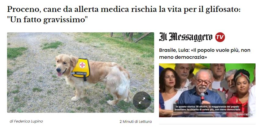 Il cane che rischia la vita per il glifosato? article-post