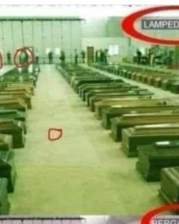 Eli David and the malinformation