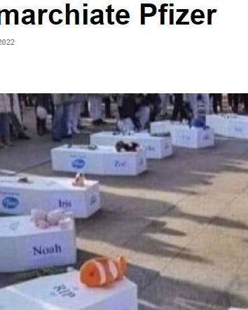 Le bare bianche marchiate Pfizer