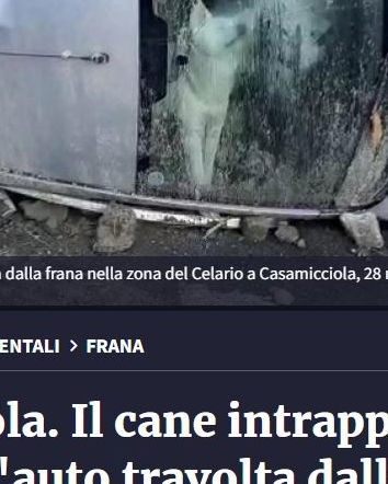 Il cane intrappolato per tre giorni